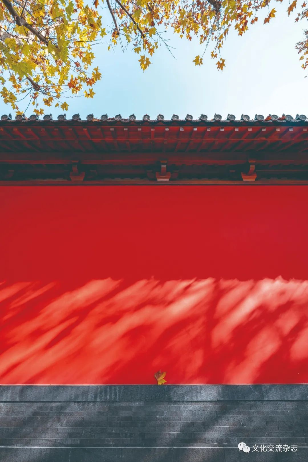 1674087360750551.jpg 1674087360750551.jpg