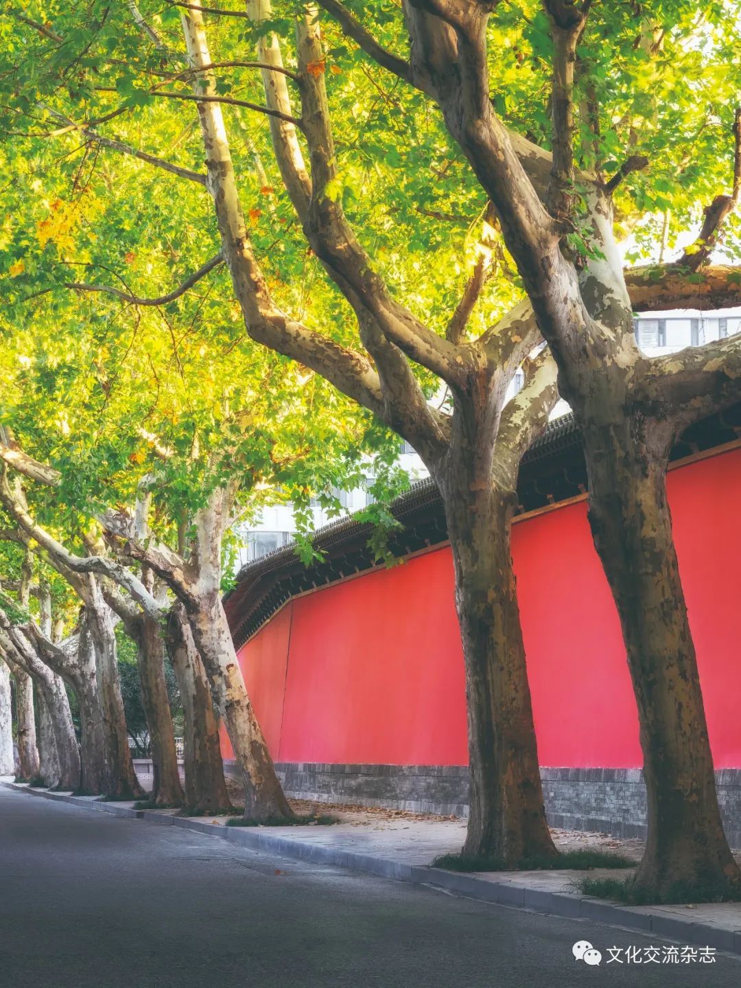 1674087499167062.jpg 1674087499167062.jpg