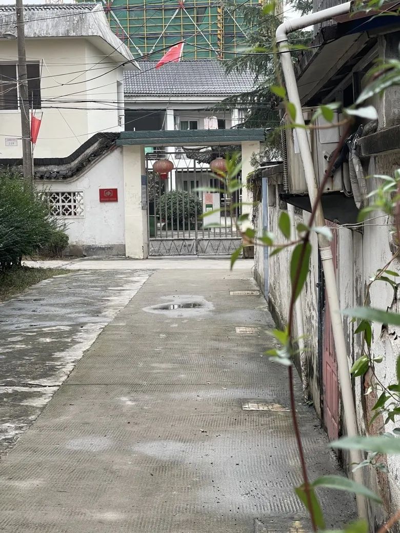 1674088951208181.jpg 11802.jpg