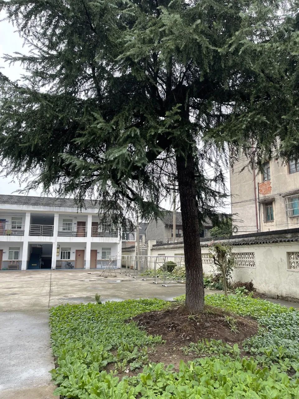 1674089389186119.jpg 1674089389186119.jpg