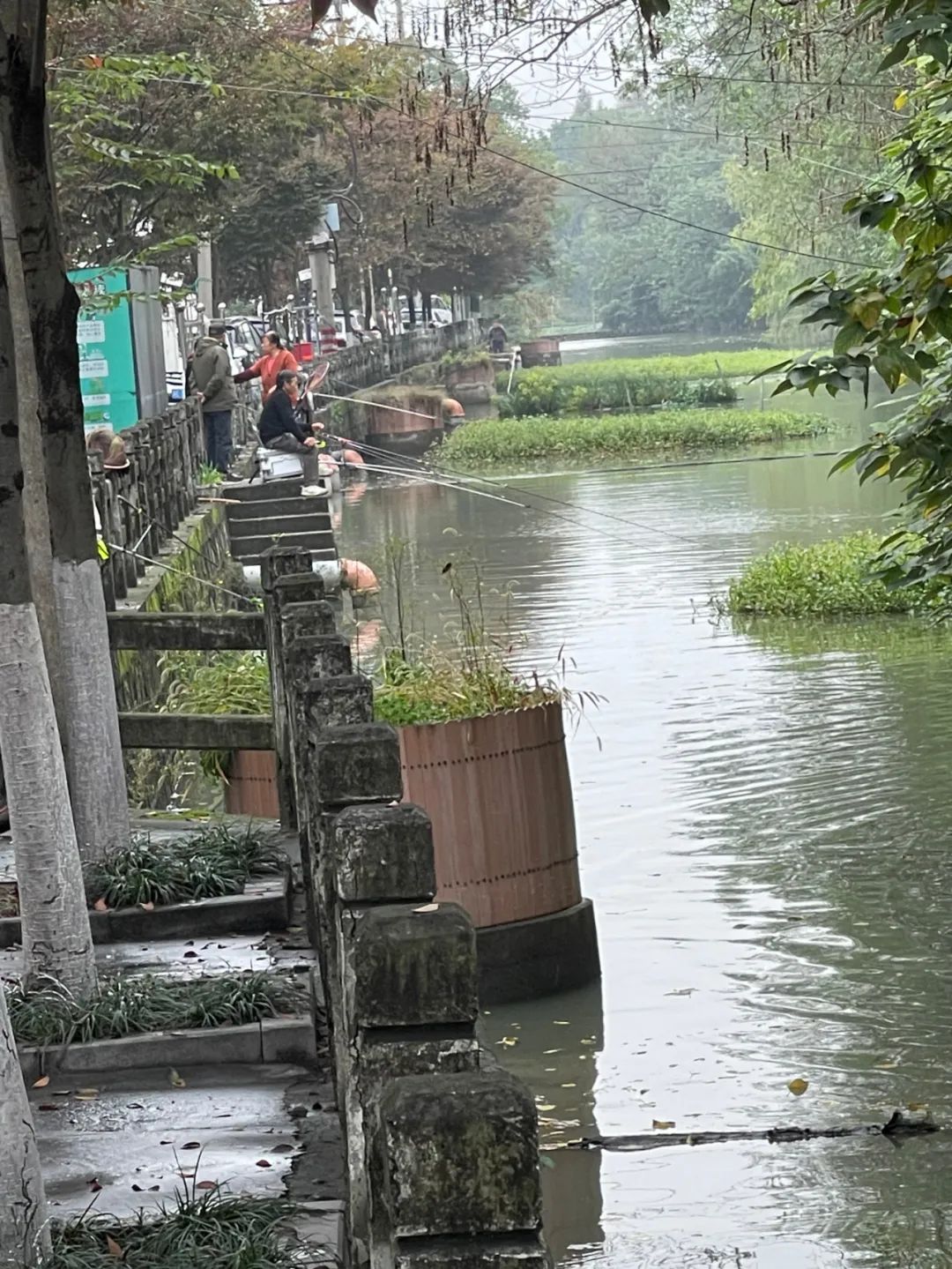 1674089419213617.jpg 1674089419213617.jpg