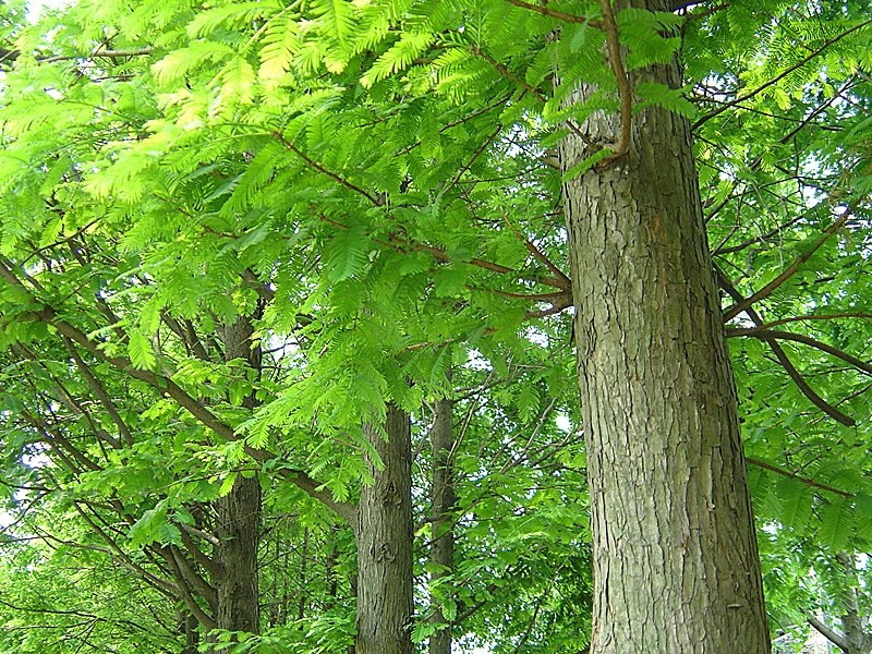 1688133578297257.jpg 1688133578297257.jpg