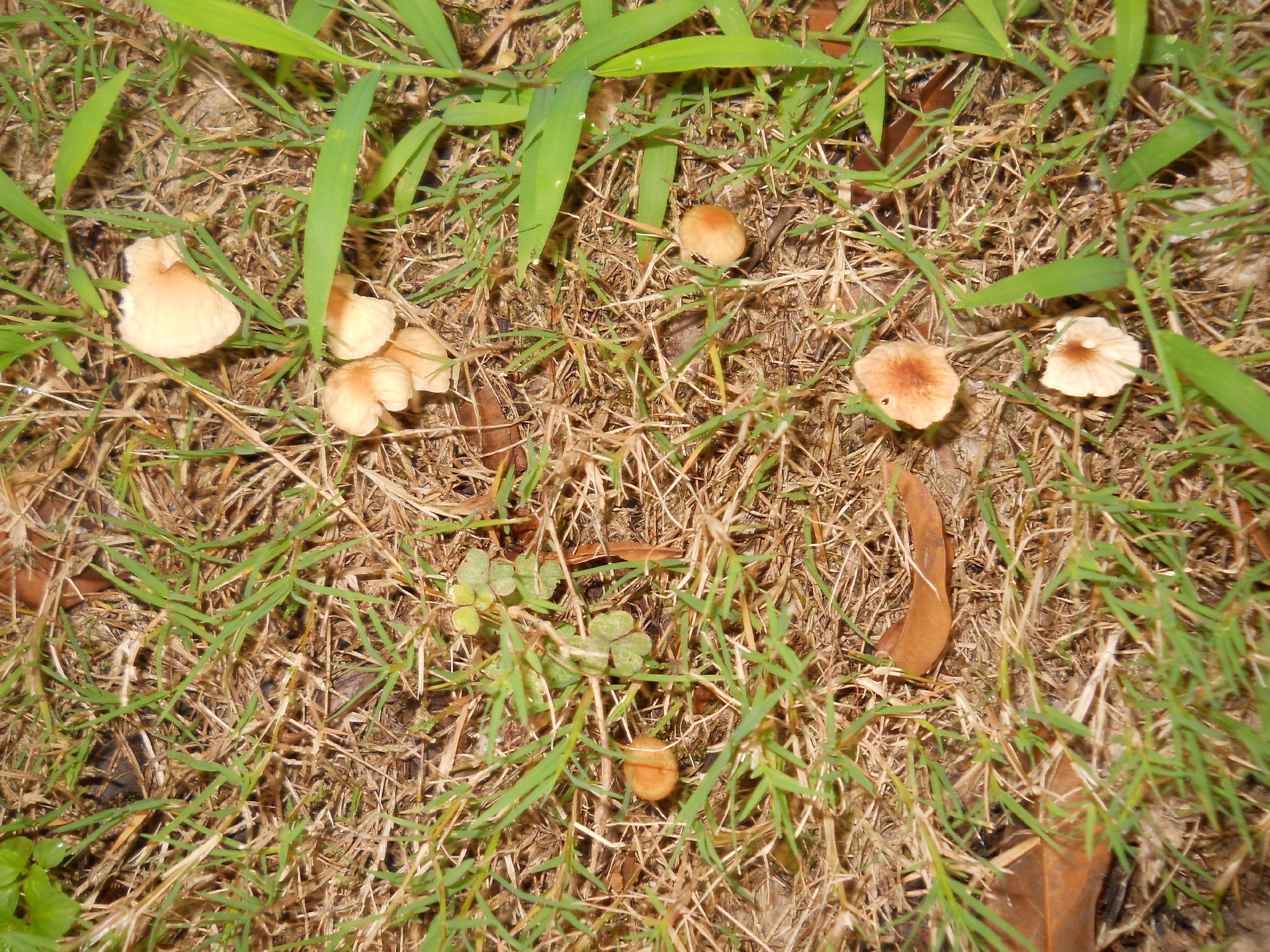 1688138676190981.jpg 1688138676190981.jpg