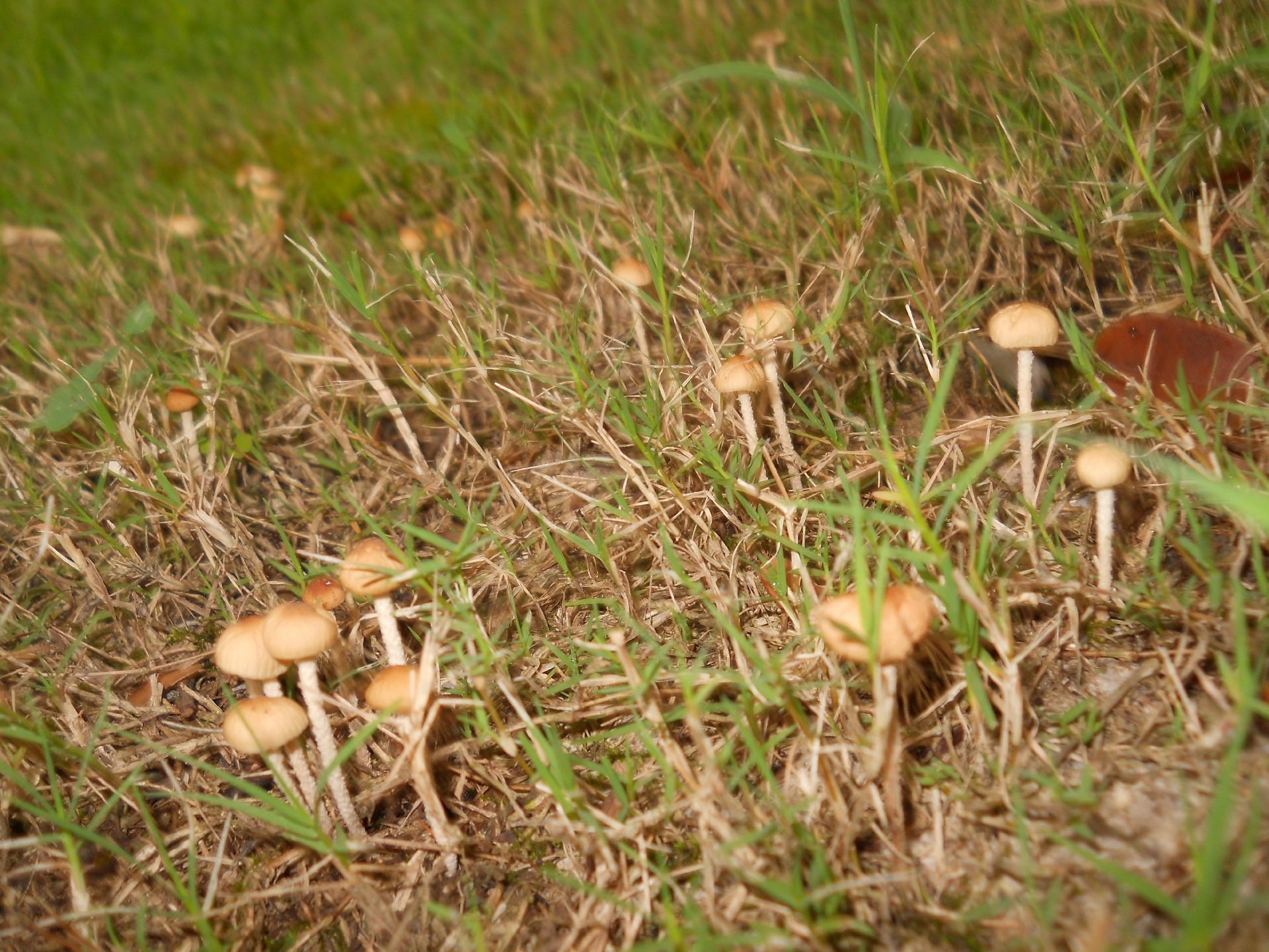 1688139624190414.jpg 1688139624190414.jpg