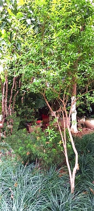 1688140537348644.jpg 888.jpg