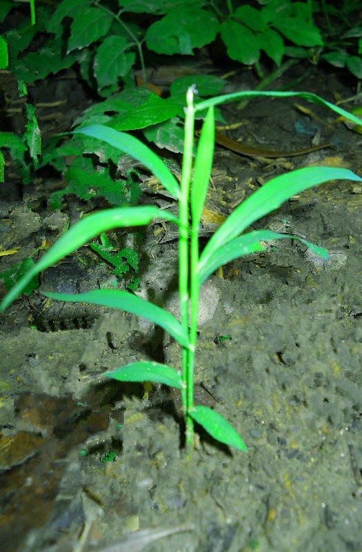 1688144770957083.jpg 333.jpg