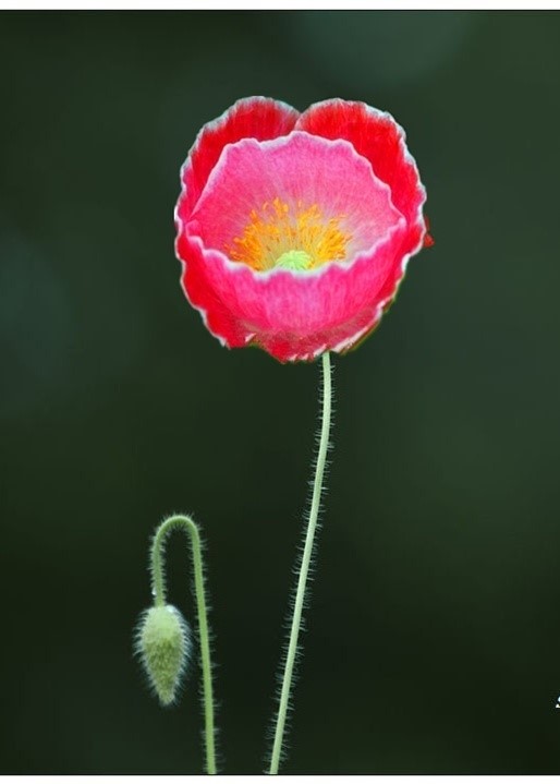 1688257407146151.jpg 3333.jpg